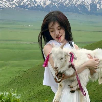 挪亚：灭世启示 在线观看